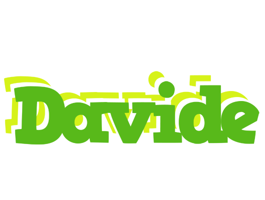 Davide picnic logo