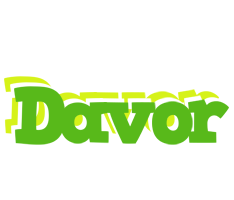 Davor picnic logo