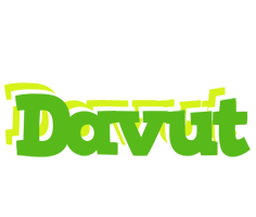 Davut picnic logo