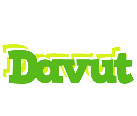 Davut picnic logo