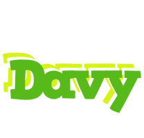 Davy picnic logo