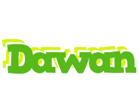 Dawan picnic logo