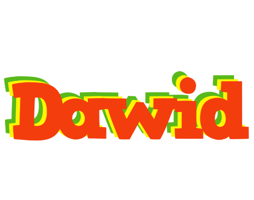 Dawid bbq logo