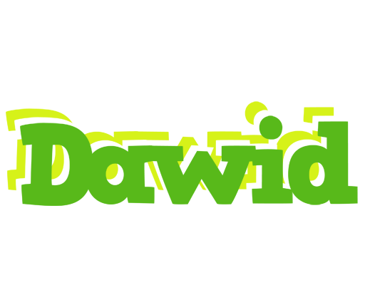 Dawid picnic logo