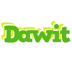 Dawit picnic logo