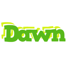 Dawn picnic logo