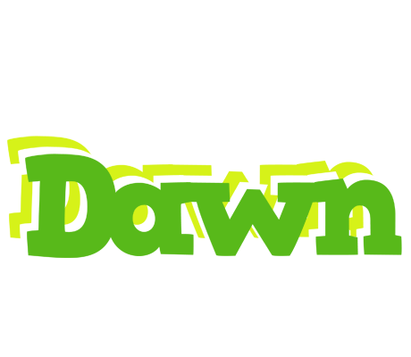 Dawn picnic logo