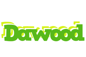 Dawood picnic logo