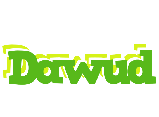 Dawud picnic logo