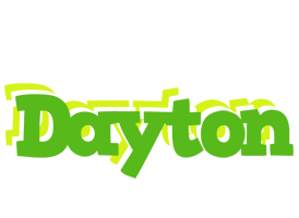 Dayton picnic logo