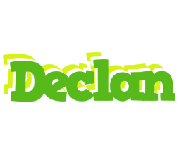 Declan picnic logo