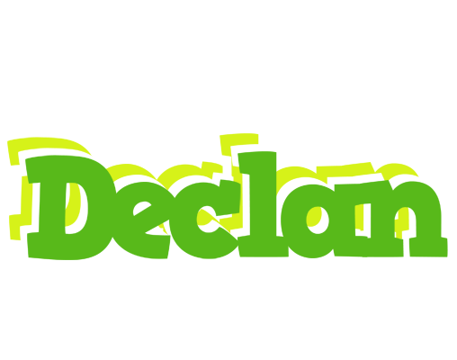 Declan picnic logo