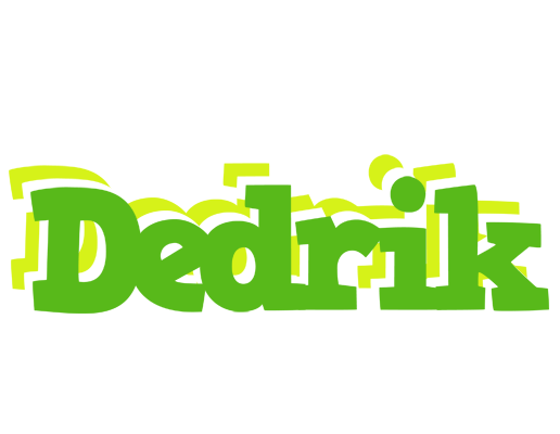 Dedrik picnic logo
