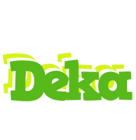 Deka picnic logo
