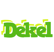 Dekel picnic logo