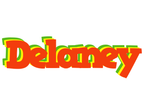 Delaney bbq logo