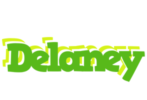 Delaney picnic logo