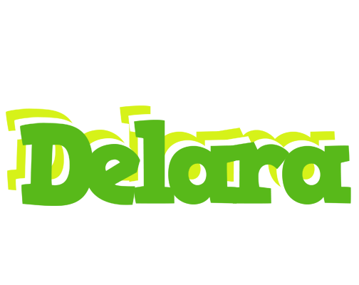 Delara picnic logo