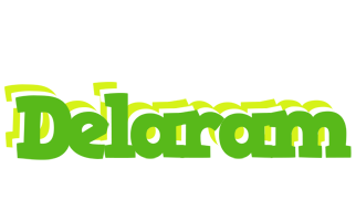 Delaram picnic logo