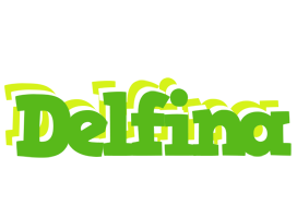 Delfina picnic logo