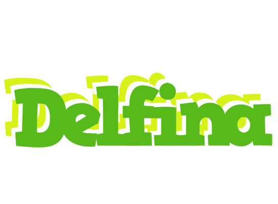 Delfina picnic logo