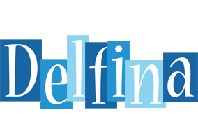 Delfina winter logo
