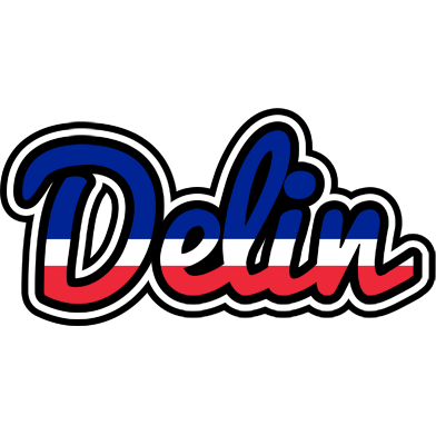 Delin france logo
