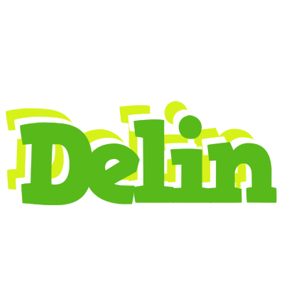 Delin picnic logo