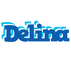 Delina business logo