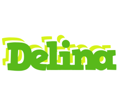 Delina picnic logo