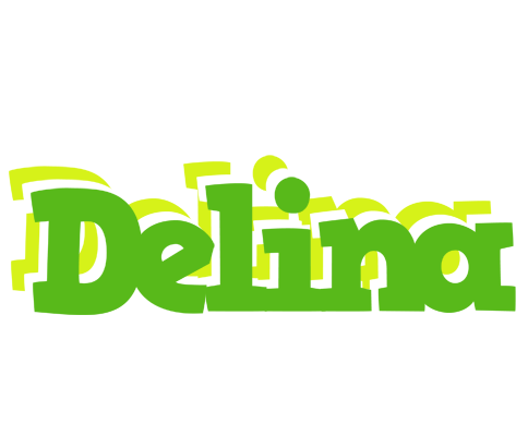 Delina picnic logo