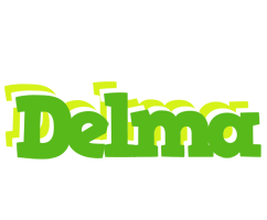 Delma picnic logo