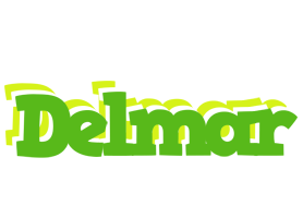 Delmar picnic logo