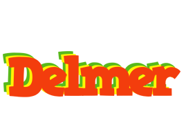 Delmer bbq logo