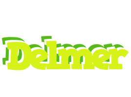 Delmer citrus logo