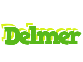 Delmer picnic logo