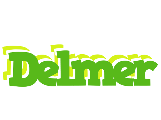 Delmer picnic logo