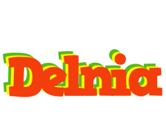 Delnia bbq logo