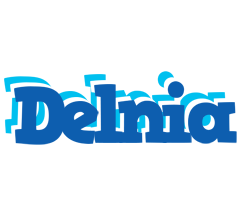 Delnia business logo