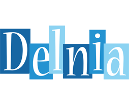 Delnia winter logo