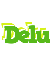 Delu picnic logo