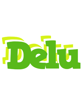 Delu picnic logo