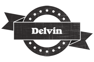 Delvin grunge logo