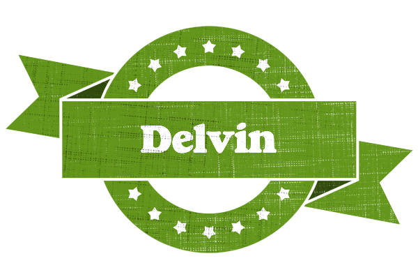 Delvin natural logo