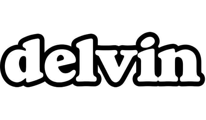 Delvin panda logo