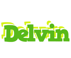 Delvin picnic logo