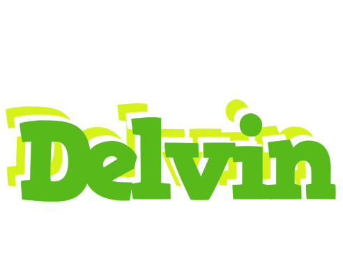 Delvin picnic logo