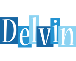 Delvin winter logo