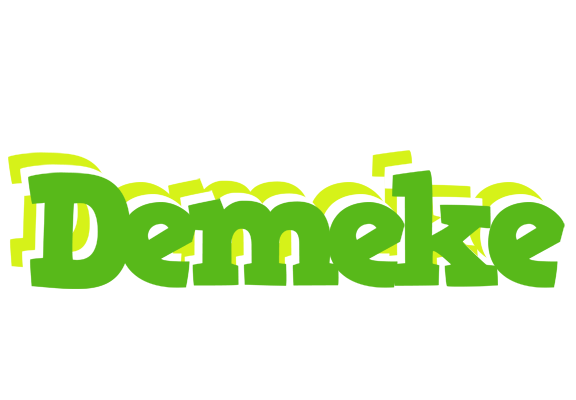 Demeke picnic logo