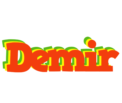 Demir bbq logo